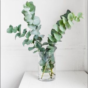 Meet your Posher, Alejandra